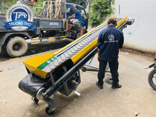 Băng tải cấp liệu viên gỗ nén
