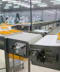 Băng tải xích nhựa trong ngành thực phẩm